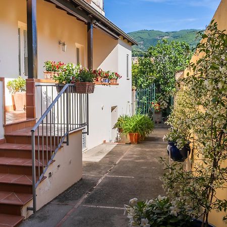 Casa Assunta B&B Vico Equense Luaran gambar